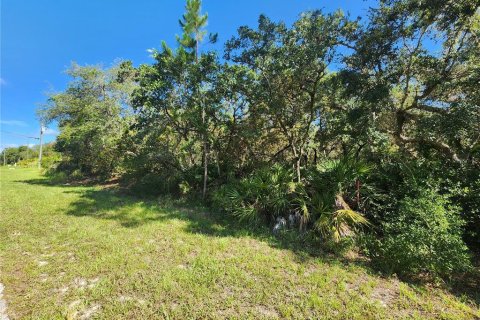Land in Eustis, Florida № 1789649 - photo 3