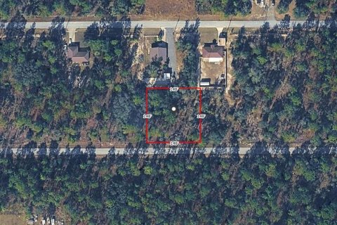 Terrain à Dunnellon, Floride № 2369576