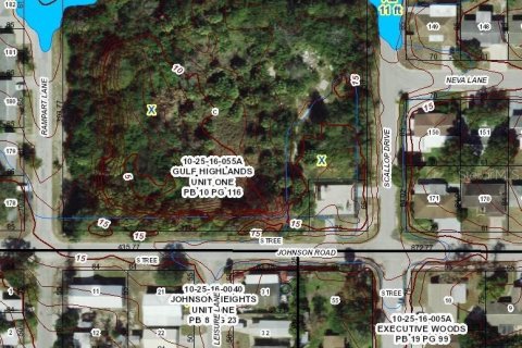 Land in Port Richey, Florida № 1912891 - photo 3