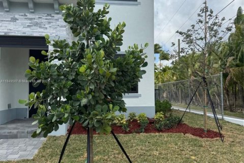 House in Homestead, Florida 4 bedrooms № 1855100 - photo 10