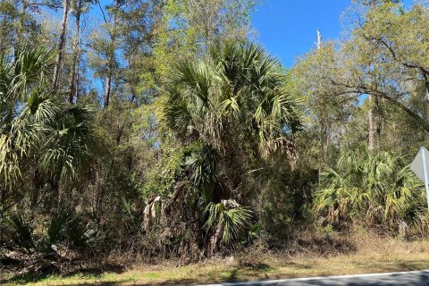 Terrain à vendre à Dunnellon, Floride № 2164666 - photo 2