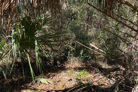 Terrain à Dunnellon, Floride № 2164666