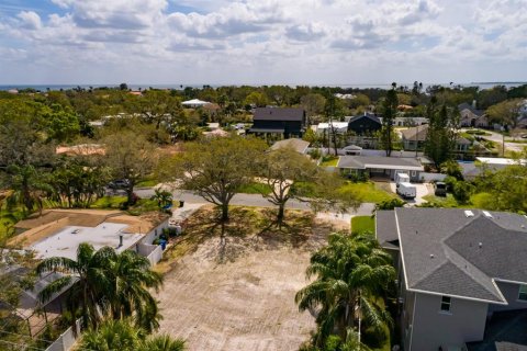 Terreno en venta en Saint Petersburg, Florida № 1569134 - foto 6
