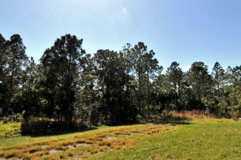 Land in North Port, Florida № 2164877 - photo 2