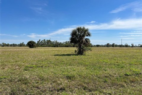 Land in Placida, Florida № 2219006 - photo 7
