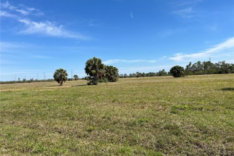 Land in Placida, Florida № 2219006 - photo 8