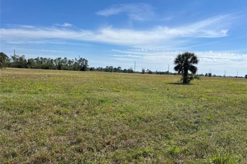 Land in Placida, Florida № 2219006 - photo 3