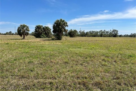 Land in Placida, Florida № 2219006 - photo 4