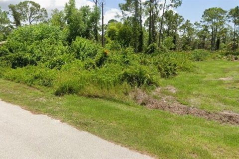 Terrain à vendre à Punta Gorda, Floride № 2221116 - photo 4