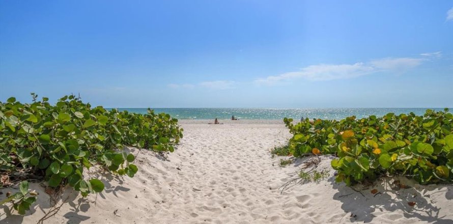 Condo à Indian Shores, Floride, 1 chambre  № 1675149