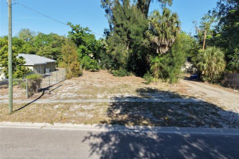 Terrain à Saint Petersburg, Floride № 2098657