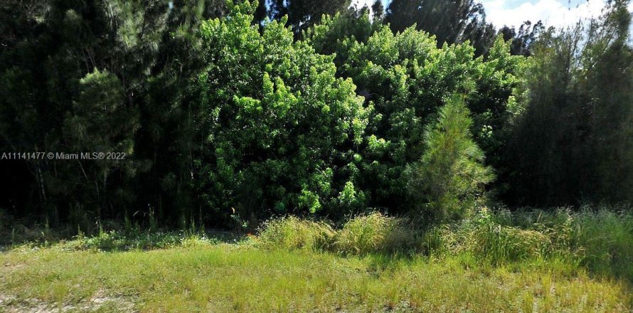 Коммерческая недвижимость в Сент-Луси, Флорида № 2034465