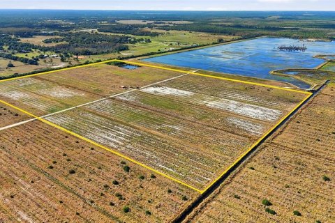 Land in Alva, Florida № 2349870 - photo 3