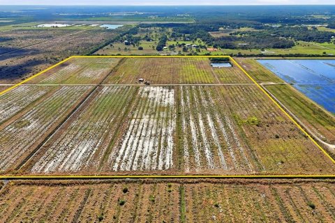 Land in Alva, Florida № 2349870 - photo 2