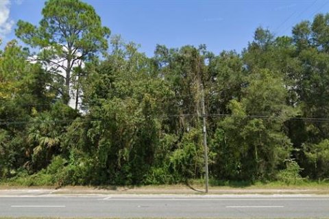 Land in Chiefland, Florida № 1544569 - photo 1