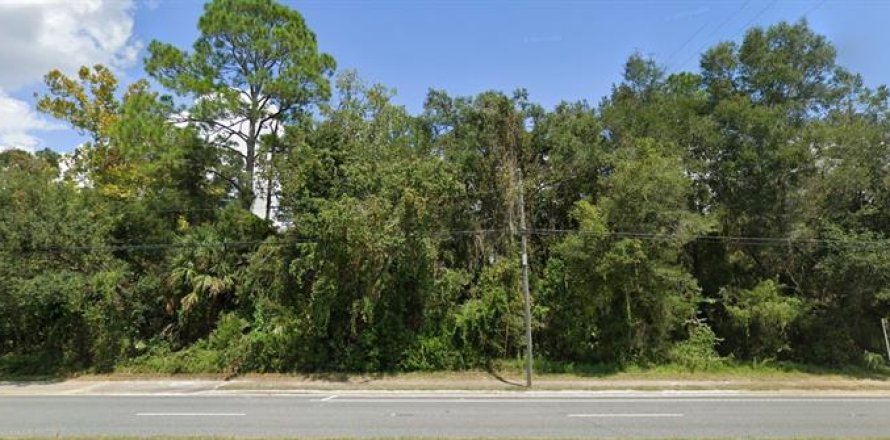 Land in Chiefland, Florida № 1544569