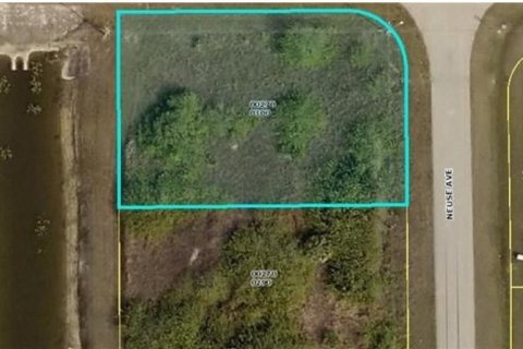 Terrain à vendre à Fort Myers, Floride № 2162083 - photo 2