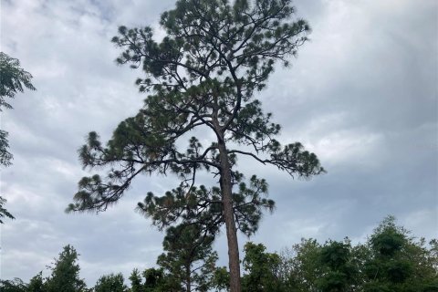 Terreno en venta en Hudson, Florida № 1785102 - foto 4
