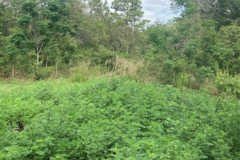 Terreno en venta en Hudson, Florida № 1785102 - foto 3