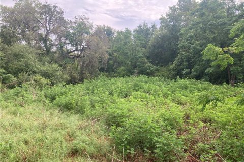 Terreno en venta en Hudson, Florida № 1785102 - foto 5