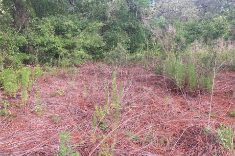 Terreno en venta en Hudson, Florida № 1785102 - foto 6
