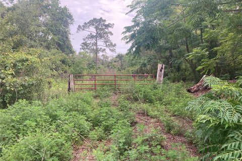 Terreno en venta en Hudson, Florida № 1785102 - foto 2