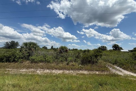 Propiedad comercial en venta en Okeechobee, Florida № 2158507 - foto 3