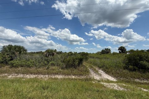 Propiedad comercial en venta en Okeechobee, Florida № 2158507 - foto 10