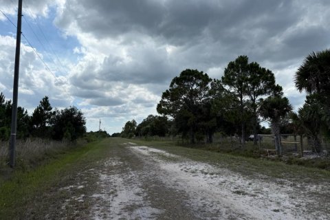 Propiedad comercial en venta en Okeechobee, Florida № 2158507 - foto 7