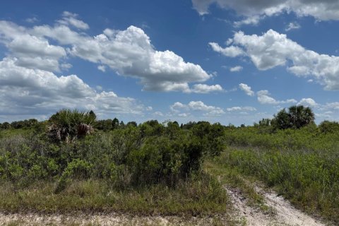 Propiedad comercial en venta en Okeechobee, Florida № 2158507 - foto 11