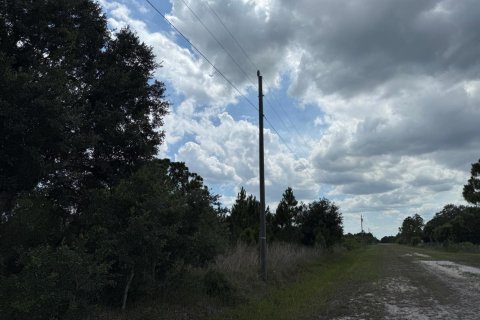 Propiedad comercial en venta en Okeechobee, Florida № 2158507 - foto 5