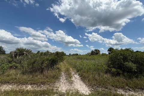 Propiedad comercial en venta en Okeechobee, Florida № 2158507 - foto 2