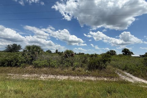 Propiedad comercial en venta en Okeechobee, Florida № 2158507 - foto 8