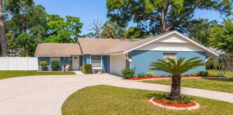 Villa ou maison à Tarpon Springs, Floride 4 chambres, 183.11 m2 № 2142933