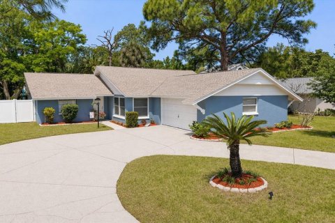 Villa ou maison à vendre à Tarpon Springs, Floride: 4 chambres, 183.11 m2 № 2142933 - photo 2