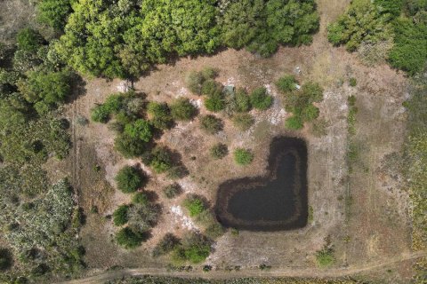 Propiedad comercial en venta en Okeechobee, Florida № 2158305 - foto 2