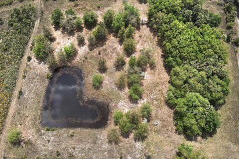 Propiedad comercial en venta en Okeechobee, Florida № 2158305 - foto 3