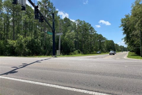 Land in Gainesville, Florida № 1419196 - photo 4