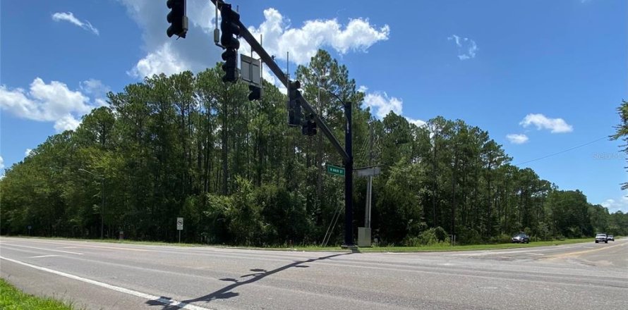 Land in Gainesville, Florida № 1419196