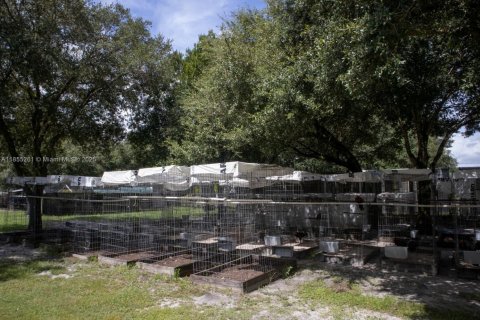 House in LaBelle, Florida 2 bedrooms № 1880104 - photo 29