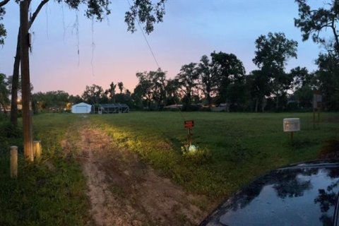 Land in Lake Mary, Florida № 1335872 - photo 1
