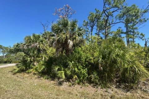 Terrain à vendre à Port Charlotte, Floride № 2228746 - photo 4