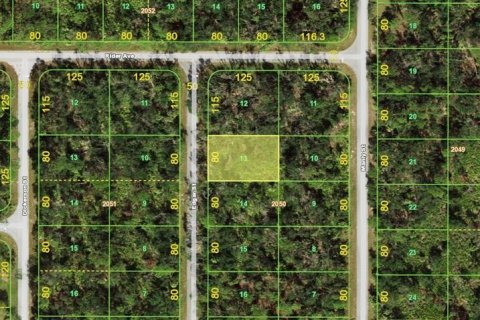 Land in Port Charlotte, Florida № 2226855 - photo 2