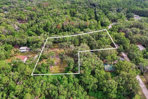 Terreno en venta en Fort White, Florida № 2204892 - foto 11