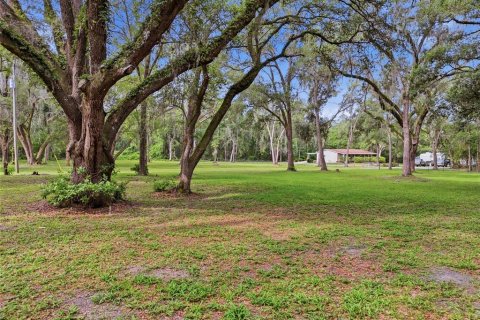 Land in Fort White, Florida № 2204892