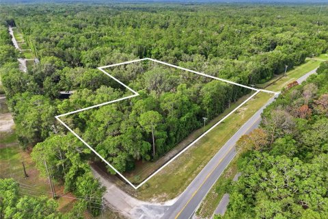 Terreno en venta en Fort White, Florida № 2204892 - foto 2