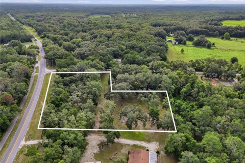 Terreno en venta en Fort White, Florida № 2204892 - foto 6