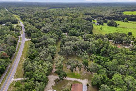 Terreno en venta en Fort White, Florida № 2204892 - foto 7