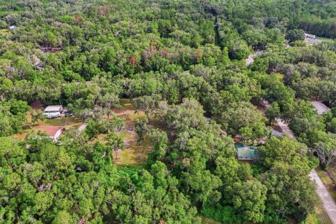 Terreno en venta en Fort White, Florida № 2204892 - foto 12