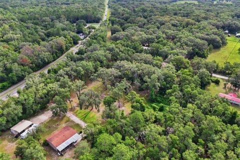 Terreno en venta en Fort White, Florida № 2204892 - foto 10